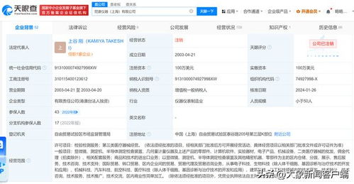 尼康儀器上海公司注銷 計算機軟件產業變革的信號？